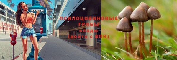 COCAINE Дмитриев