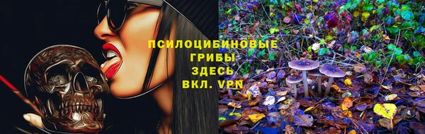 гидра Белокуриха